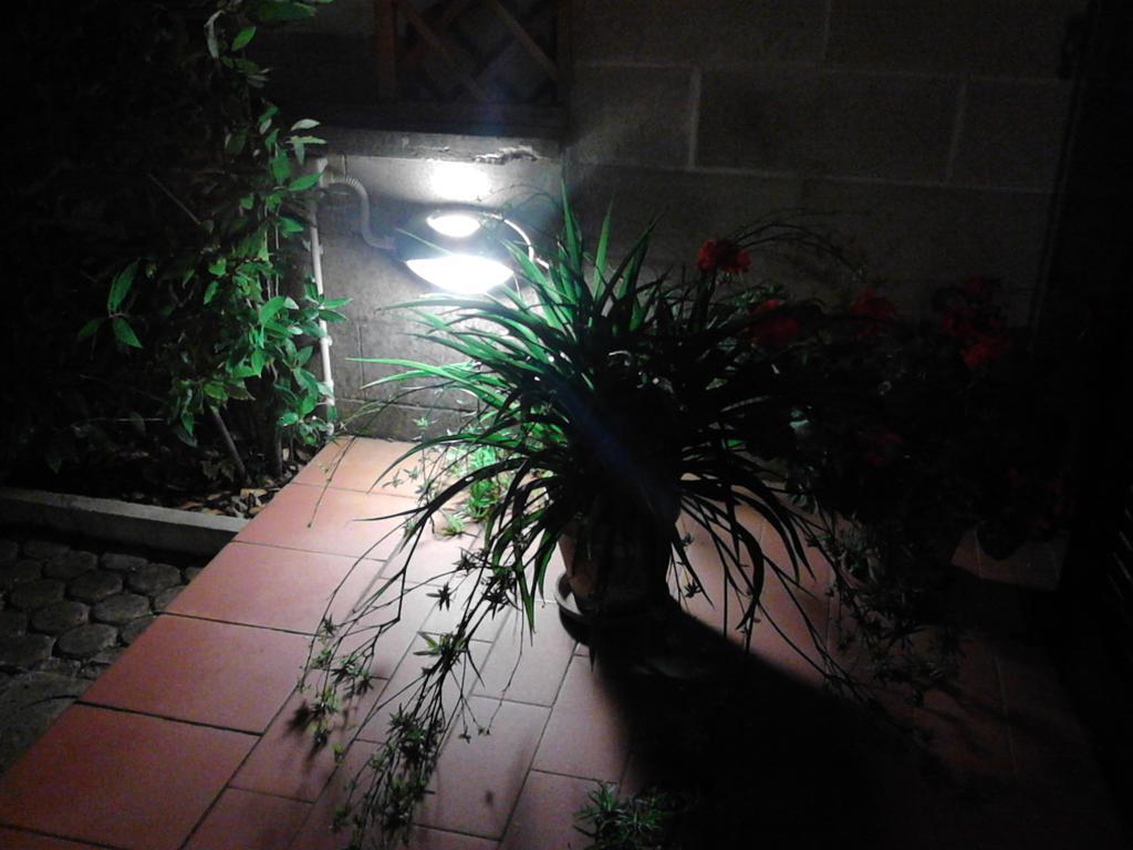 Bed And Breakfast Catherina Ponsacco Exterior foto